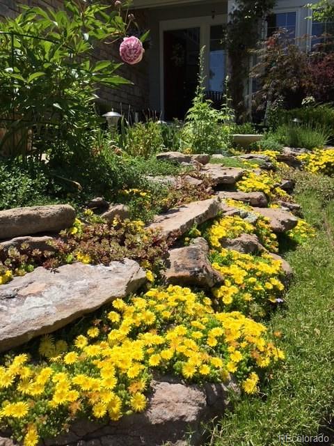MLS Image #46 for 9265  buttonhill court,highlands ranch, Colorado