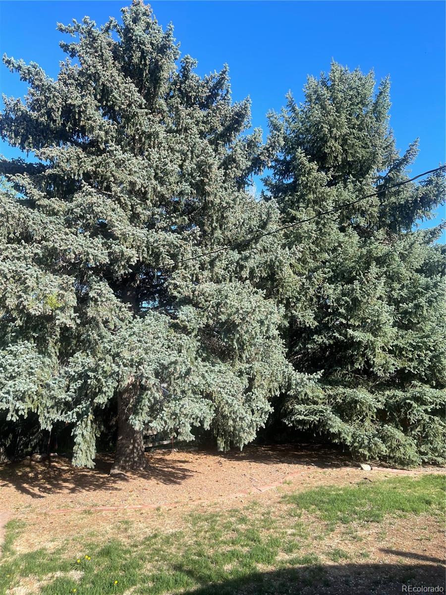 MLS Image #37 for 6176 s adams drive,centennial, Colorado