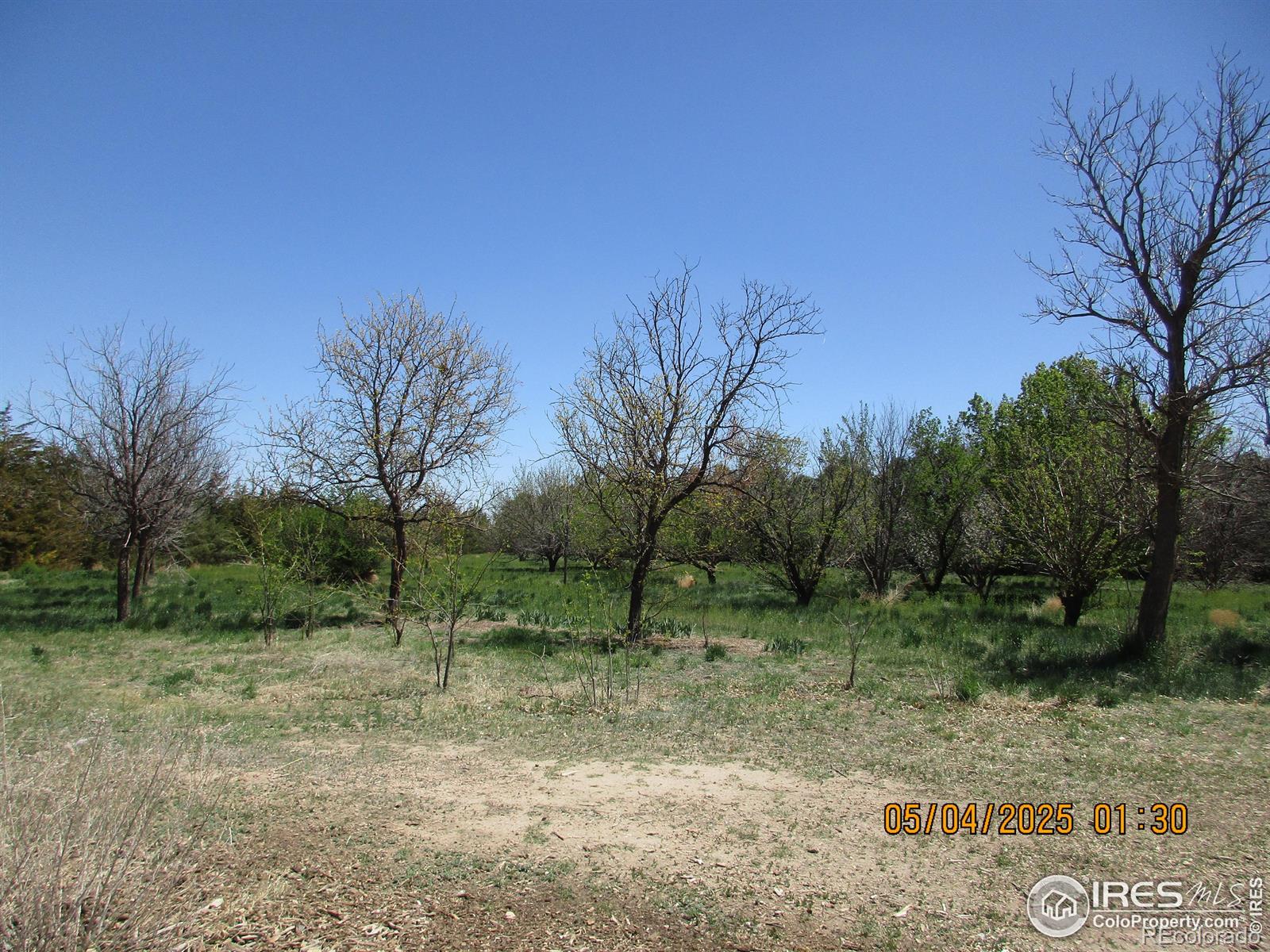 MLS Image #19 for 9021  county road u.5 ,weldona, Colorado