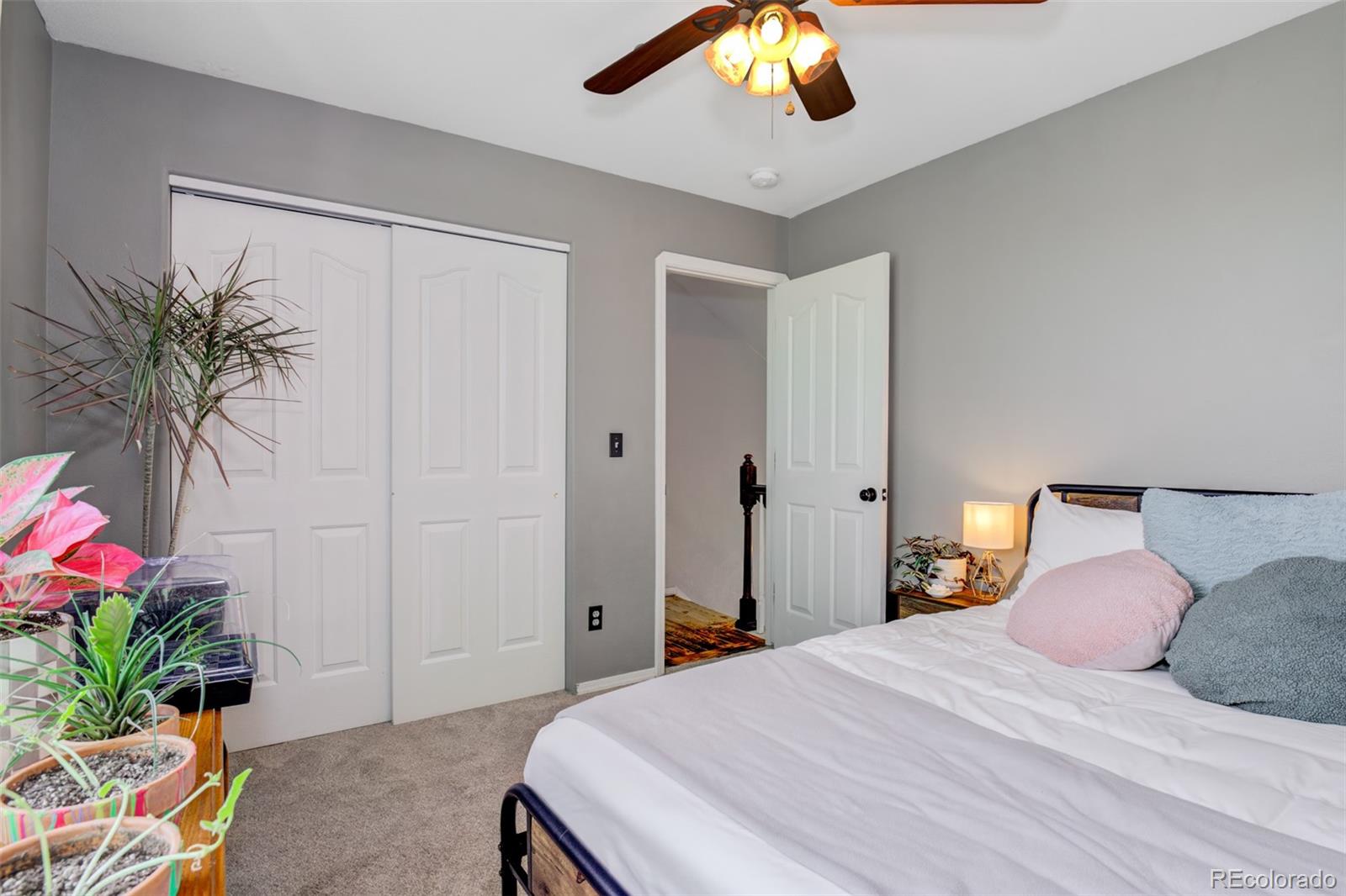 MLS Image #18 for 1156  white stone way,fountain, Colorado
