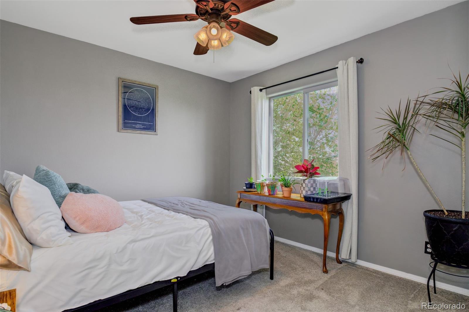 MLS Image #25 for 1156  white stone way,fountain, Colorado