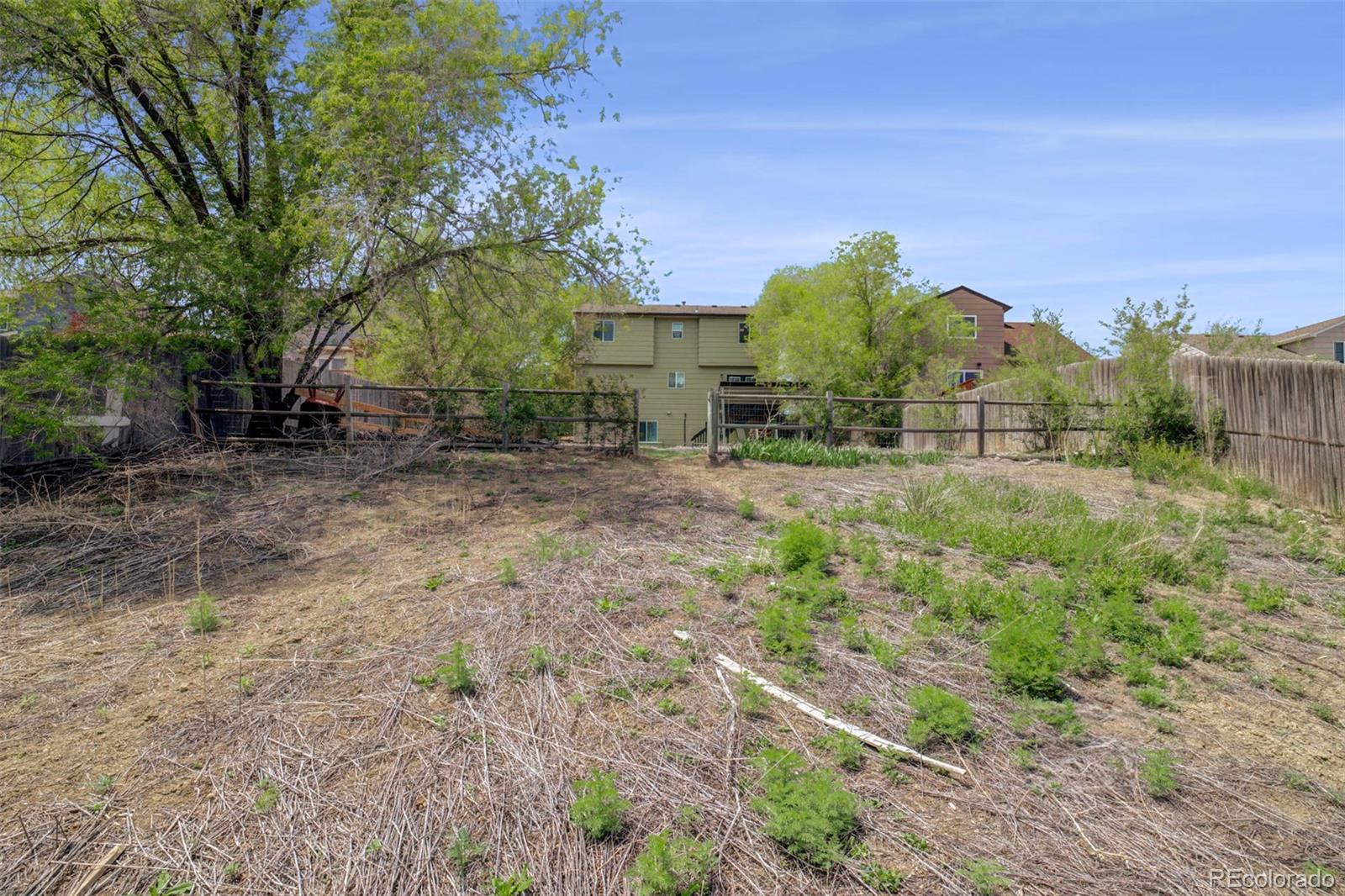 MLS Image #31 for 1156  white stone way,fountain, Colorado