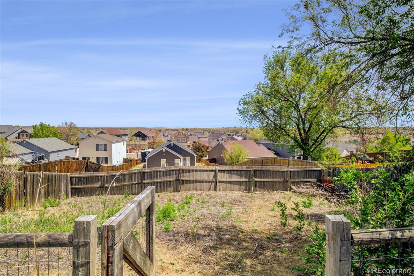 MLS Image #33 for 1156  white stone way,fountain, Colorado