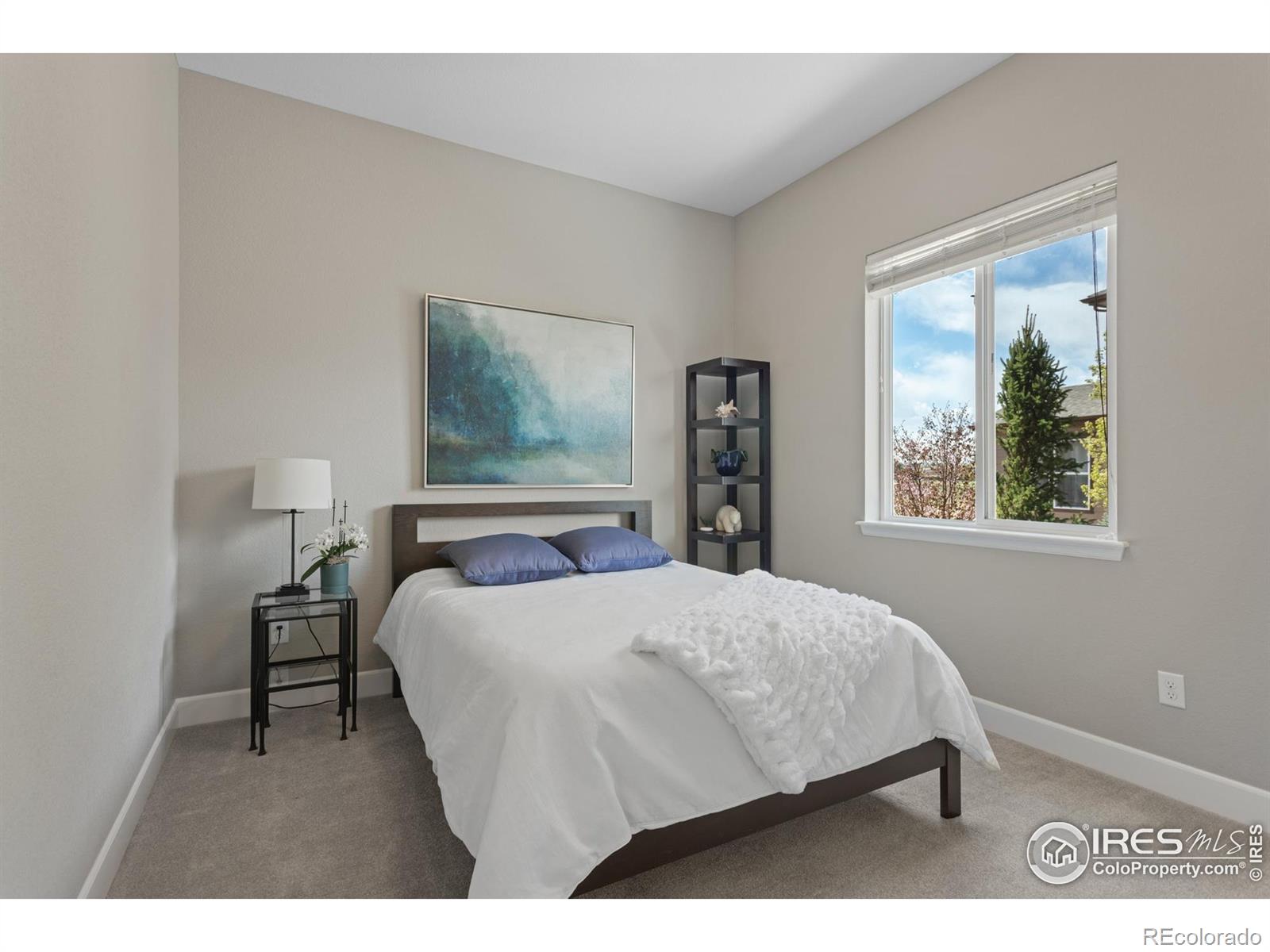 MLS Image #13 for 3692  deacon drive,mead, Colorado