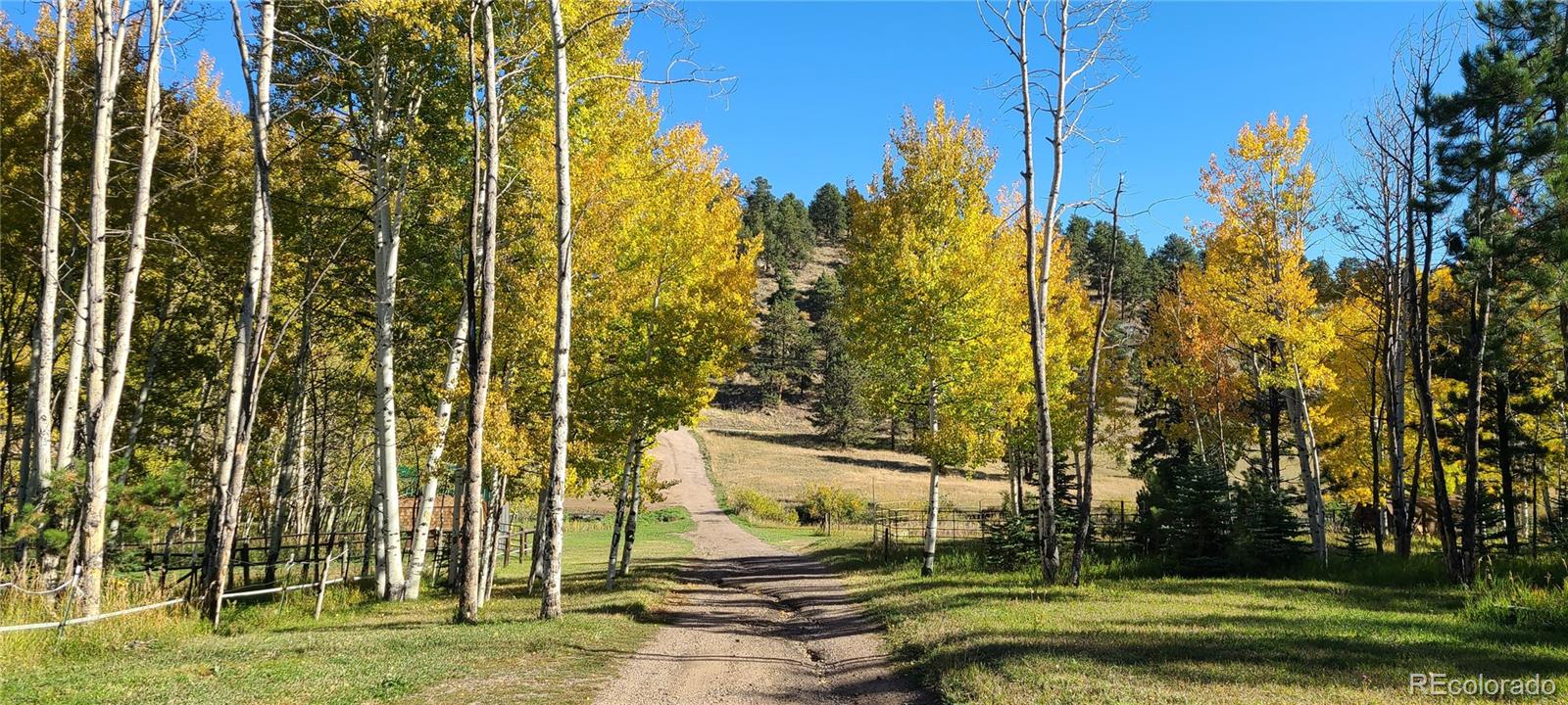MLS Image #2 for 2230  county road 72 ,bailey, Colorado