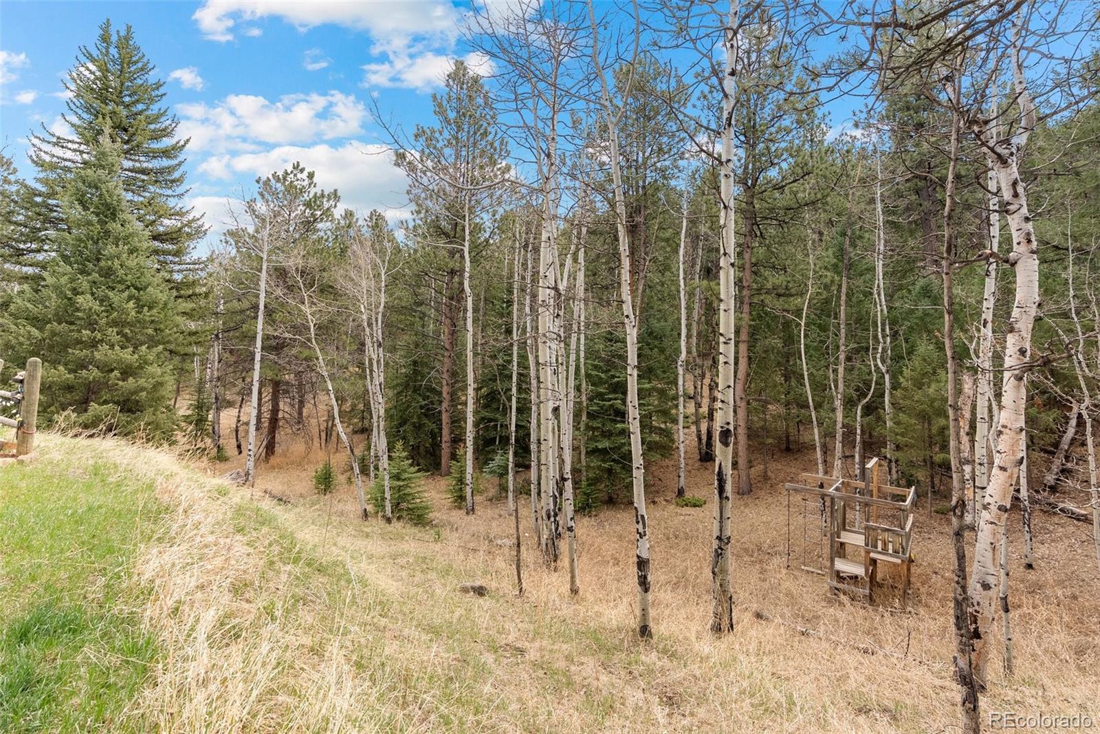 MLS Image #38 for 2230  county road 72 ,bailey, Colorado