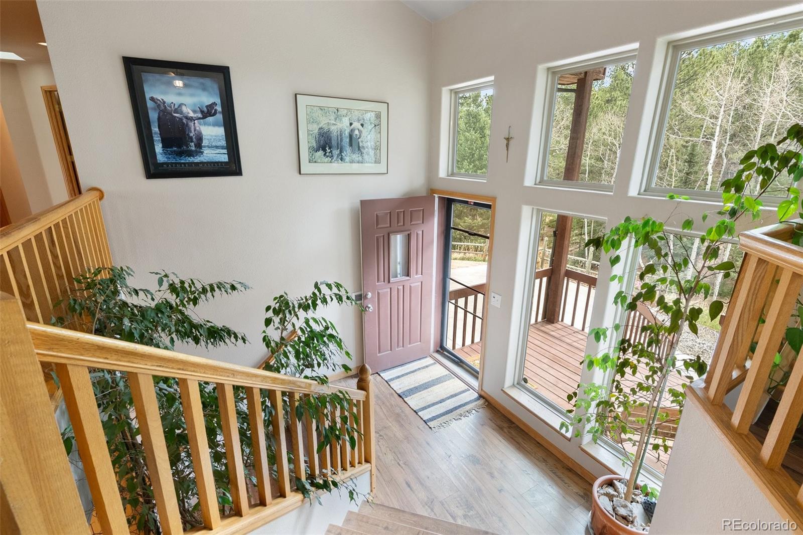 MLS Image #8 for 2230  county road 72 ,bailey, Colorado