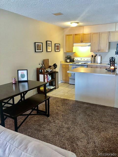MLS Image #10 for 2500 s york street,denver, Colorado