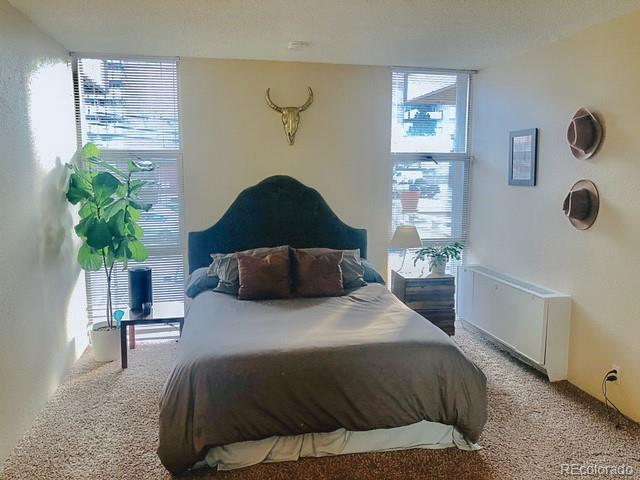 MLS Image #8 for 2500 s york street,denver, Colorado