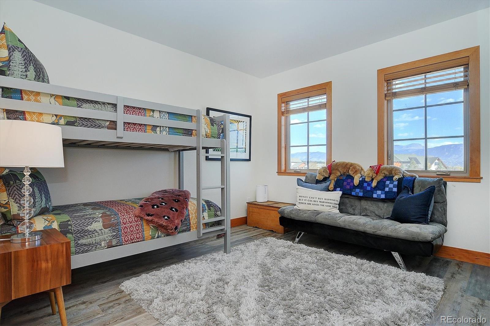 MLS Image #19 for 17470  reserve drive ,buena vista, Colorado
