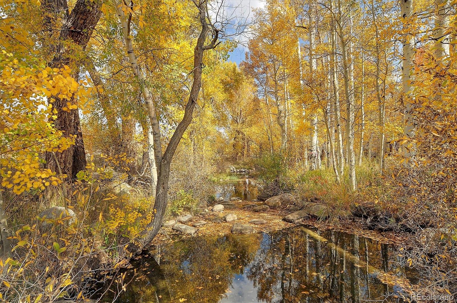 MLS Image #49 for 17470  reserve drive ,buena vista, Colorado