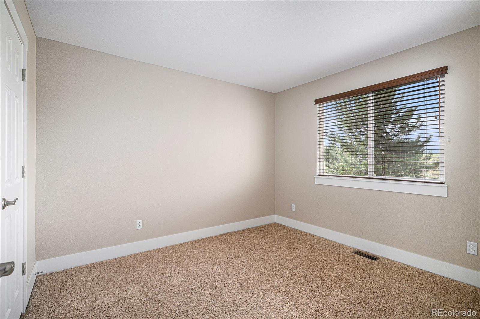 MLS Image #24 for 1076  switch grass drive,castle rock, Colorado