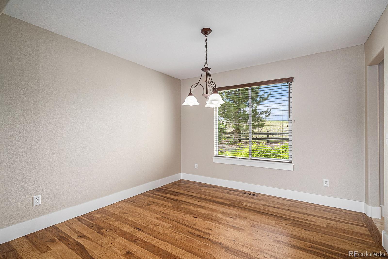 MLS Image #5 for 1076  switch grass drive,castle rock, Colorado