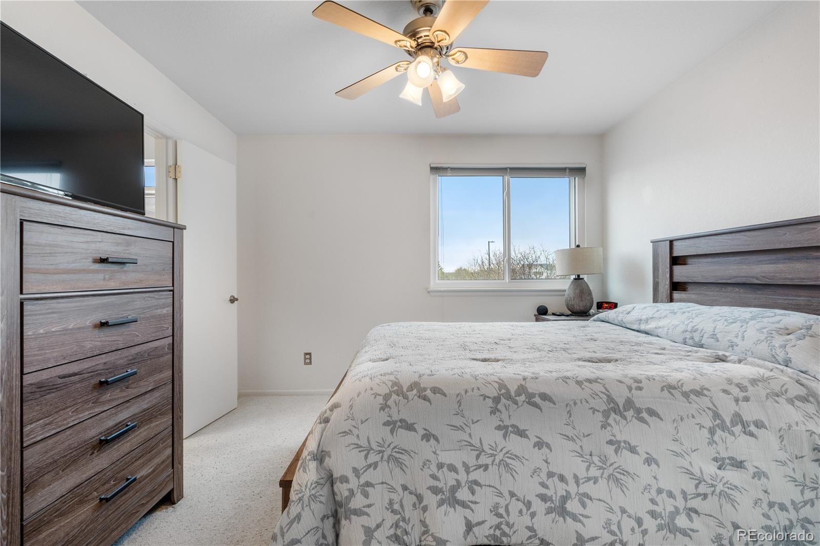 MLS Image #18 for 20835 e 47th avenue,denver, Colorado