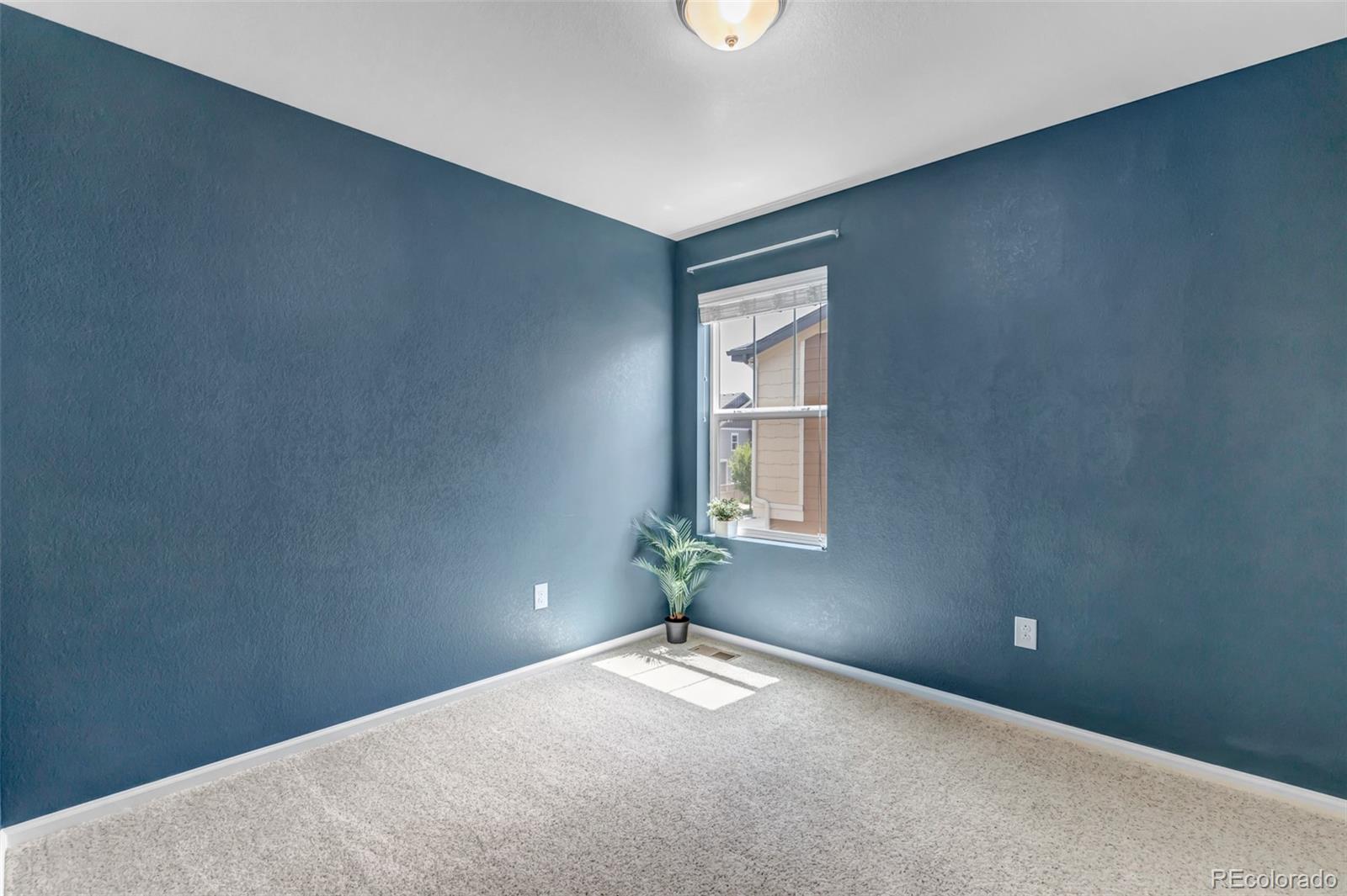 MLS Image #20 for 3429  hardin street,castle rock, Colorado