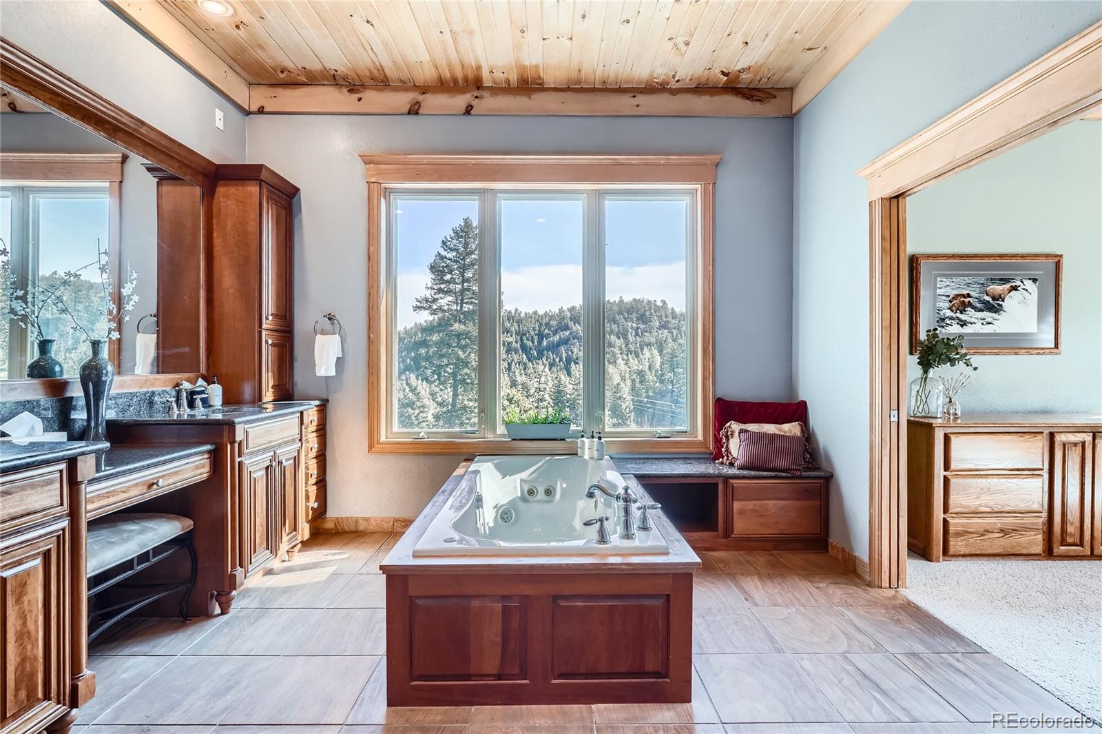 MLS Image #15 for 9659 s turkey creek road,morrison, Colorado