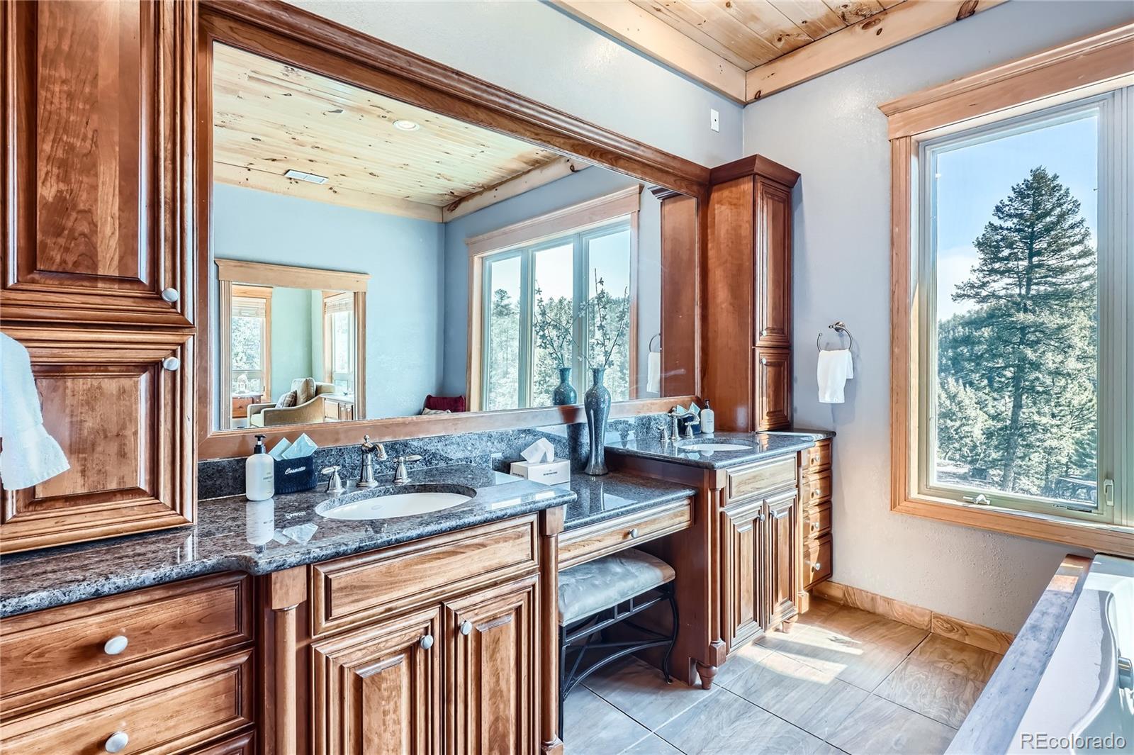 MLS Image #16 for 9659 s turkey creek road,morrison, Colorado