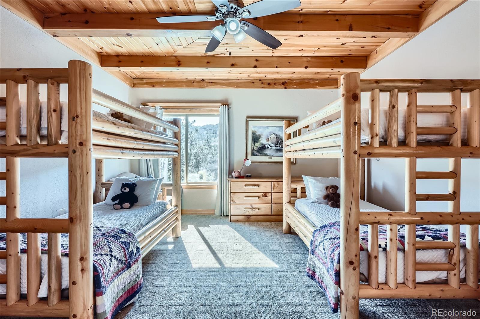 MLS Image #18 for 9659 s turkey creek road,morrison, Colorado