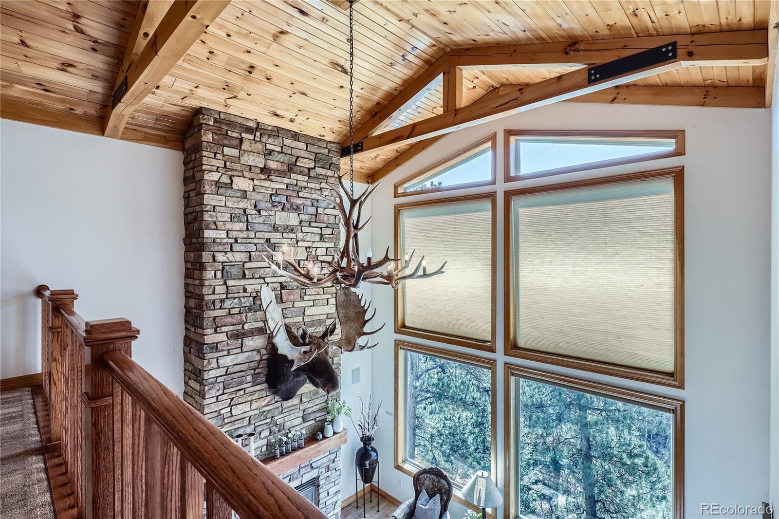MLS Image #23 for 9659 s turkey creek road,morrison, Colorado