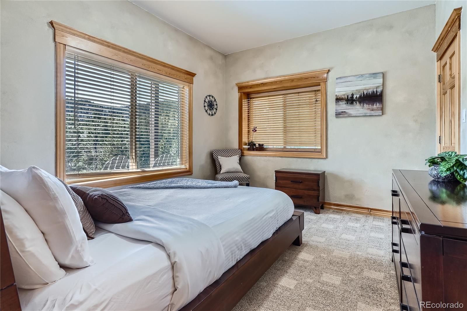 MLS Image #24 for 9659 s turkey creek road,morrison, Colorado