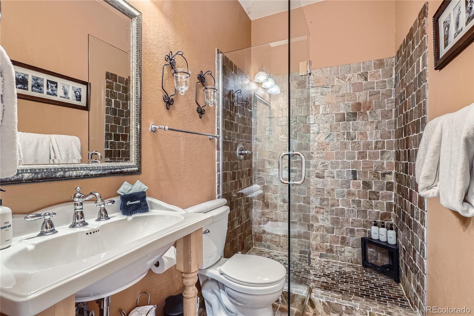 MLS Image #25 for 9659 s turkey creek road,morrison, Colorado