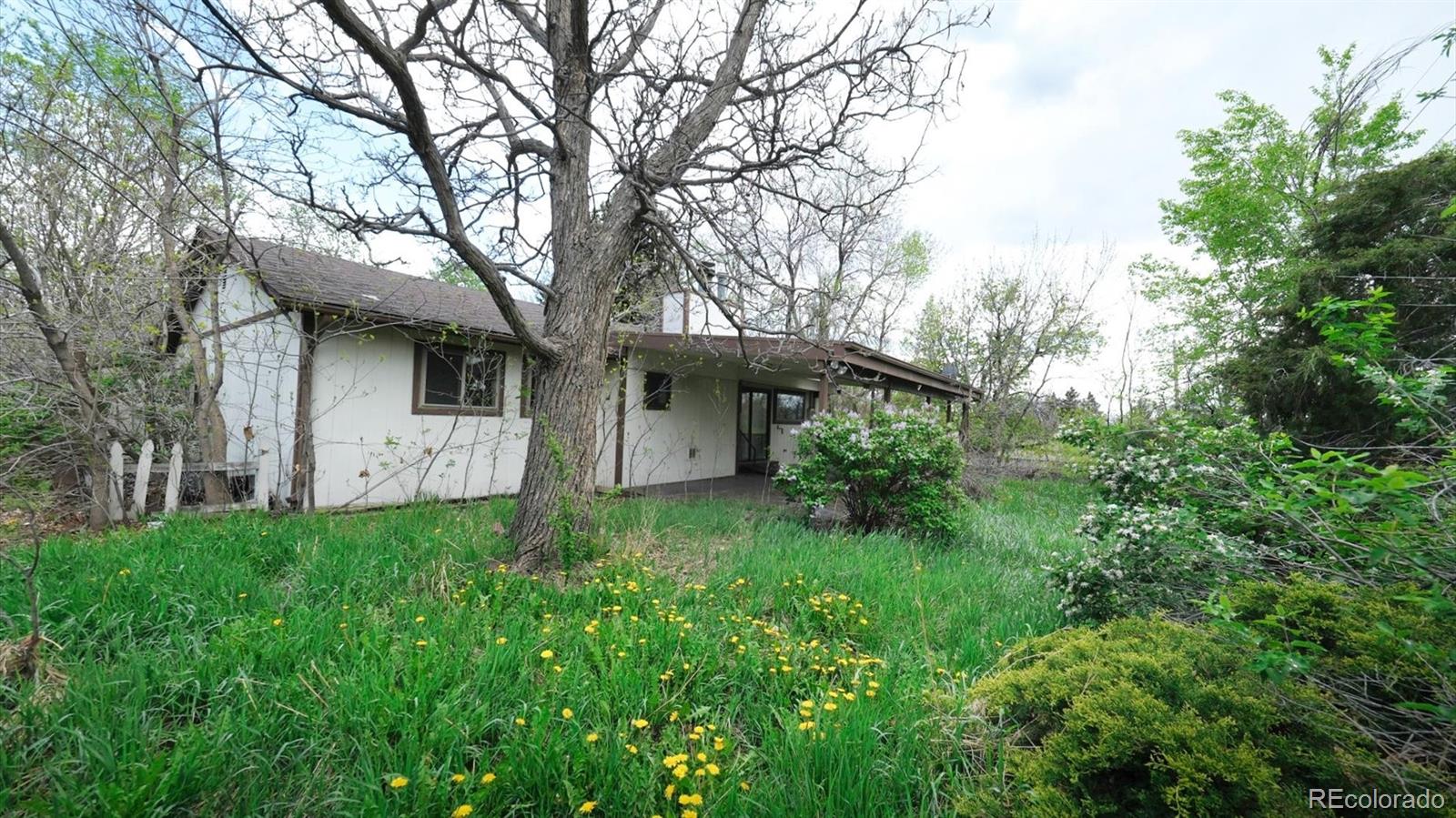 MLS Image #3 for 6463  brentwood street,arvada, Colorado