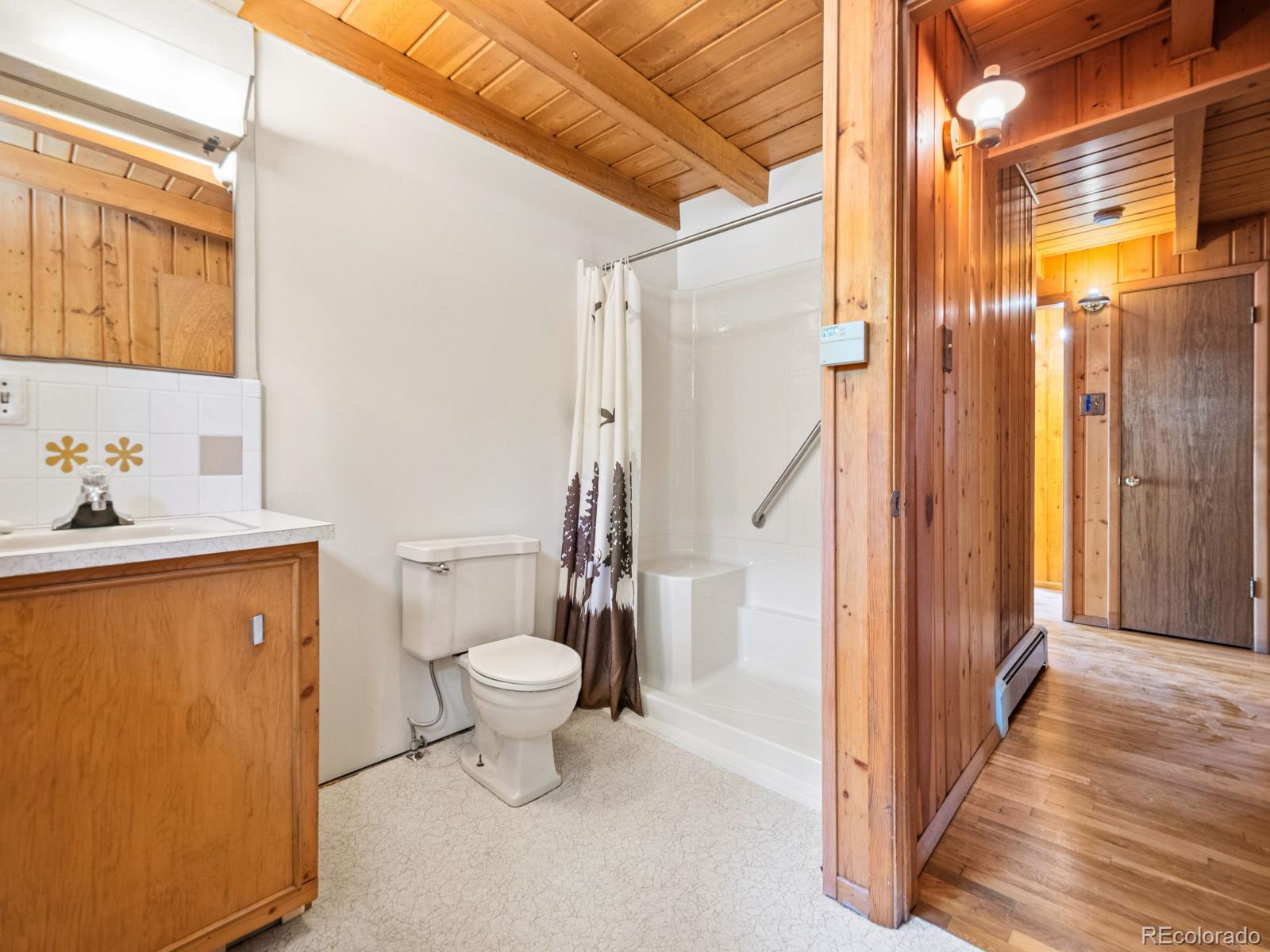 MLS Image #19 for 48  warren road,black hawk, Colorado