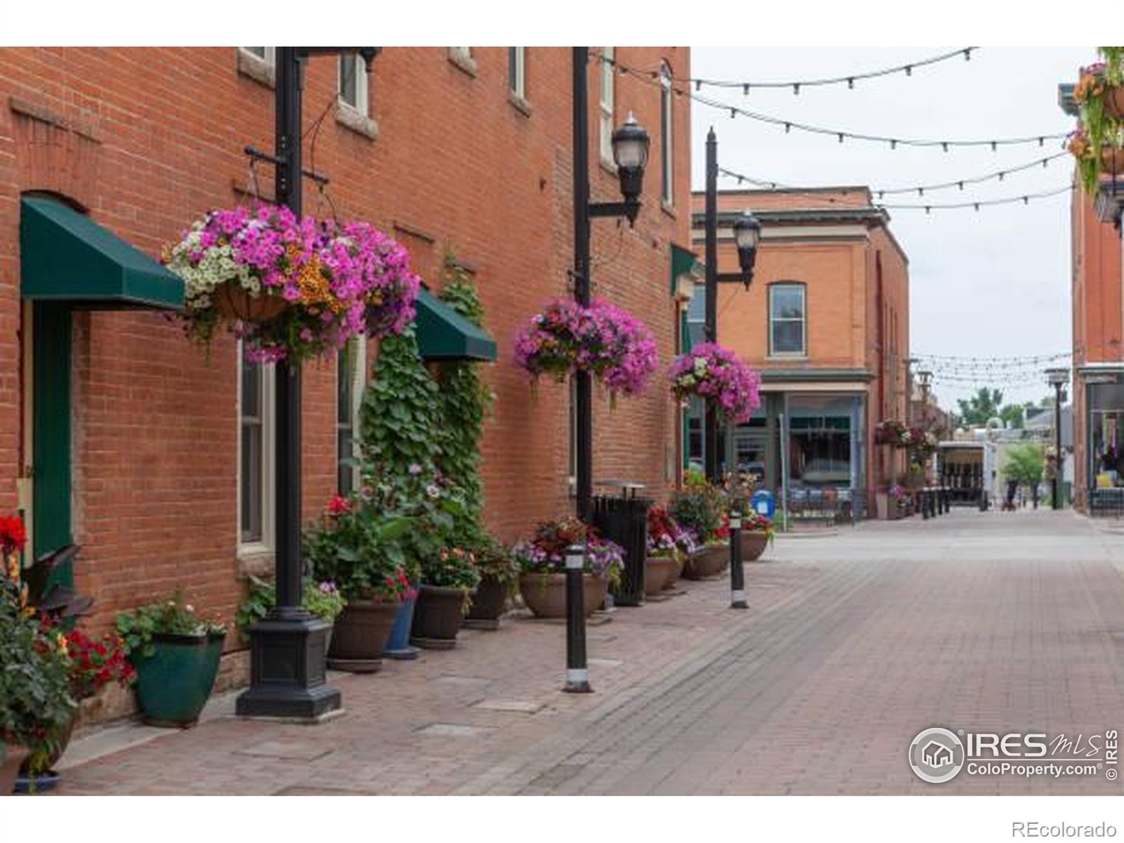 MLS Image #38 for 114  sylvan court,fort collins, Colorado