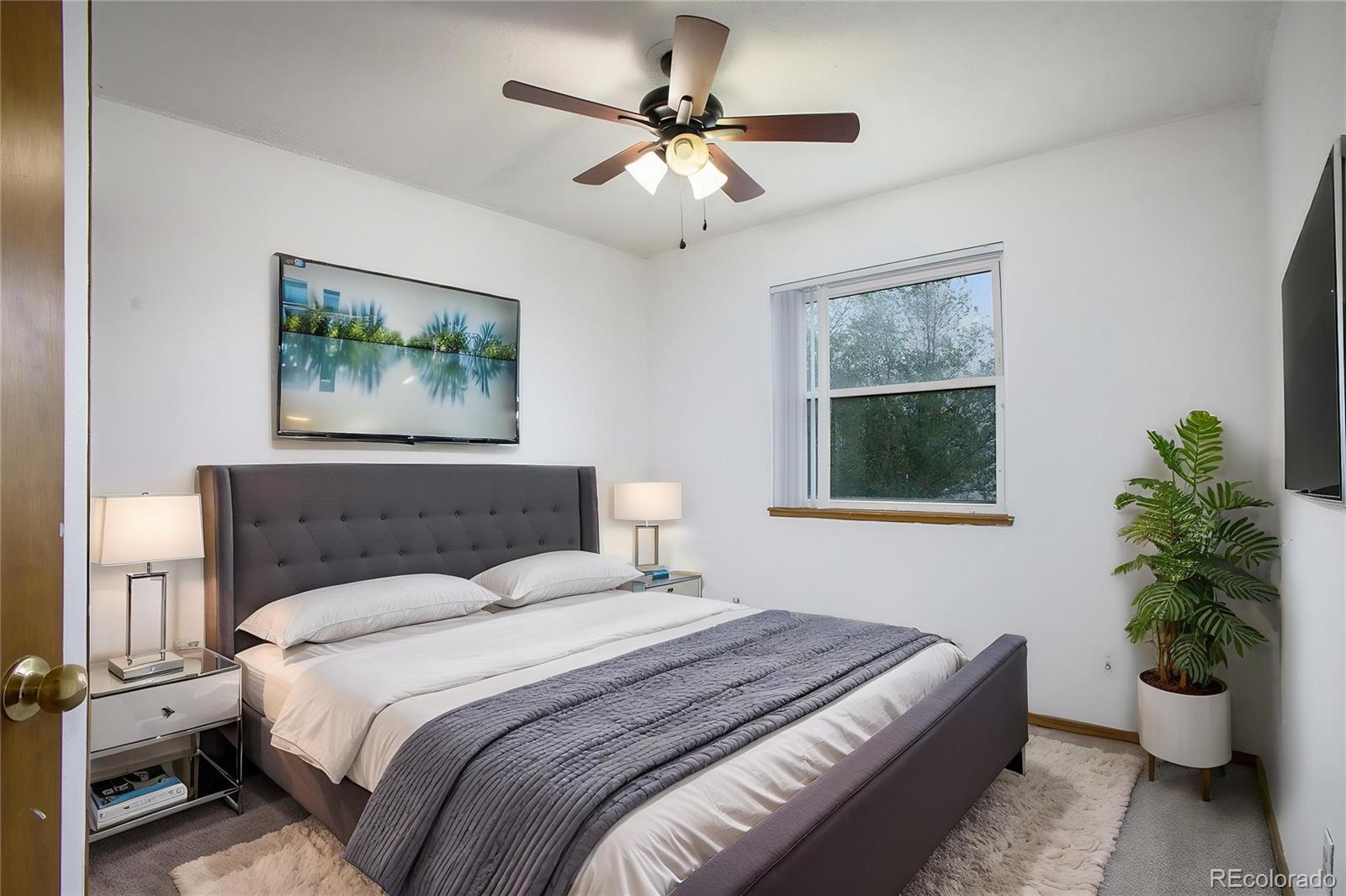 MLS Image #14 for 5085  victory road,colorado springs, Colorado