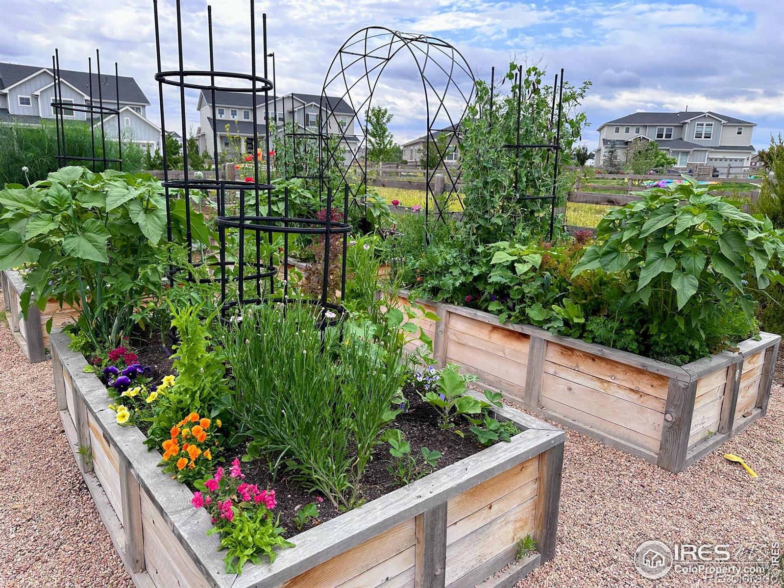 MLS Image #33 for 2482  claystone circle,erie, Colorado