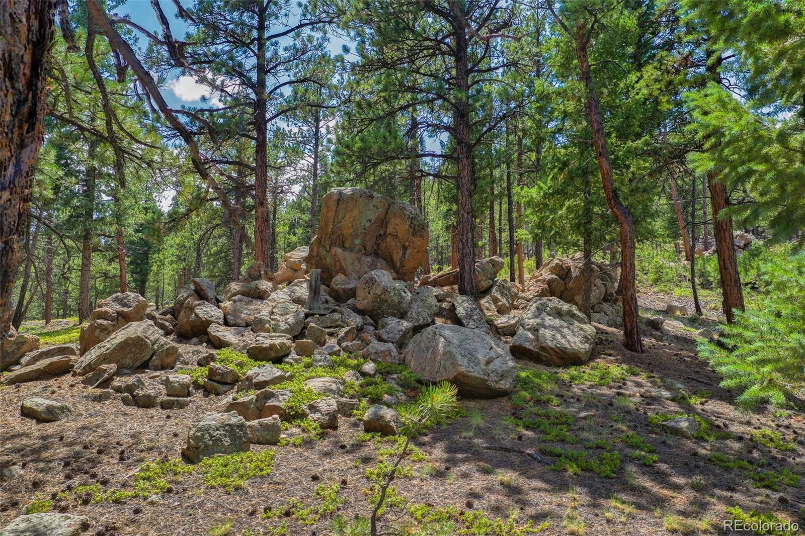 MLS Image #12 for 14651  westcreek road,woodland park, Colorado