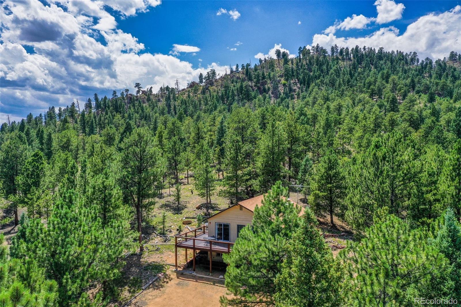 MLS Image #2 for 14651  westcreek road,woodland park, Colorado