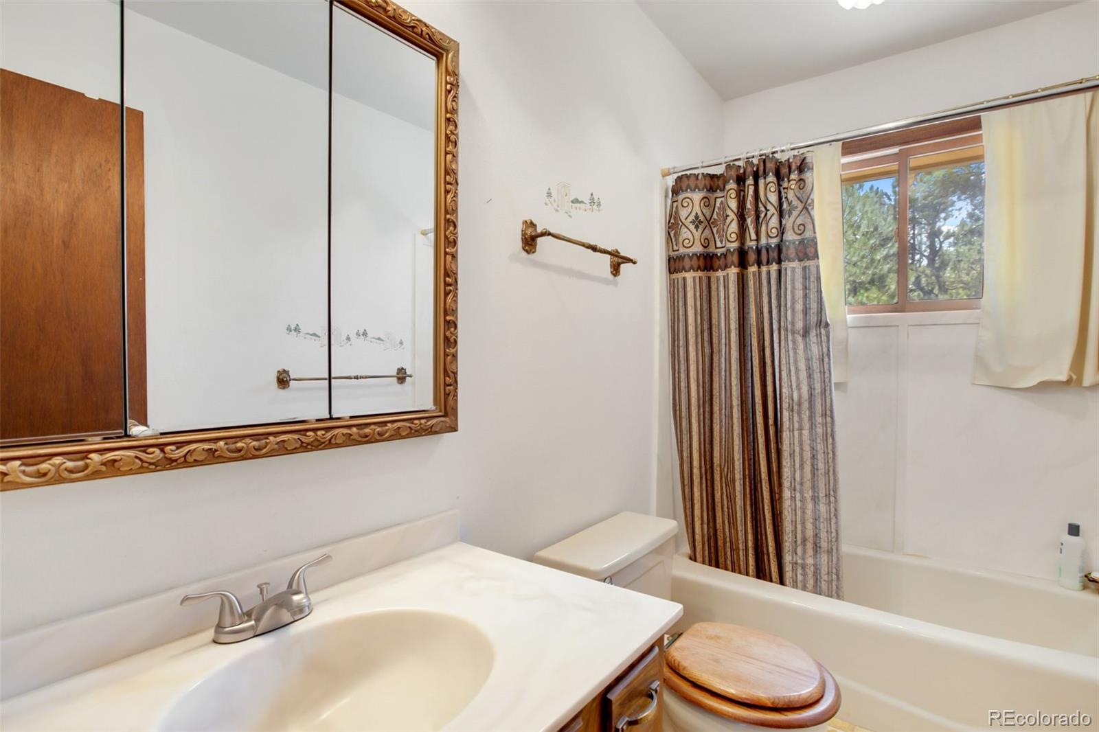 MLS Image #29 for 14651  westcreek road,woodland park, Colorado