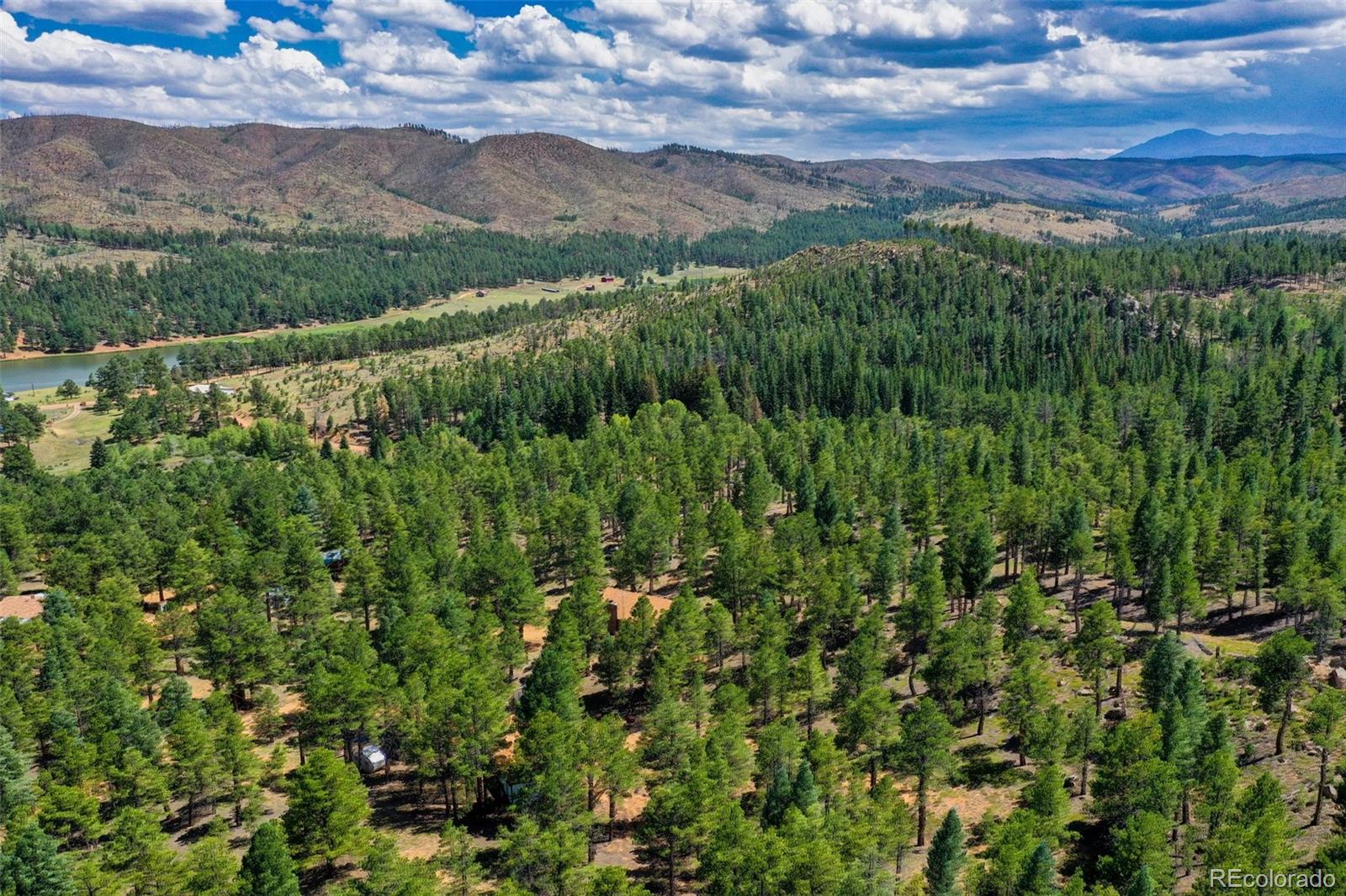 MLS Image #6 for 14651  westcreek road,woodland park, Colorado