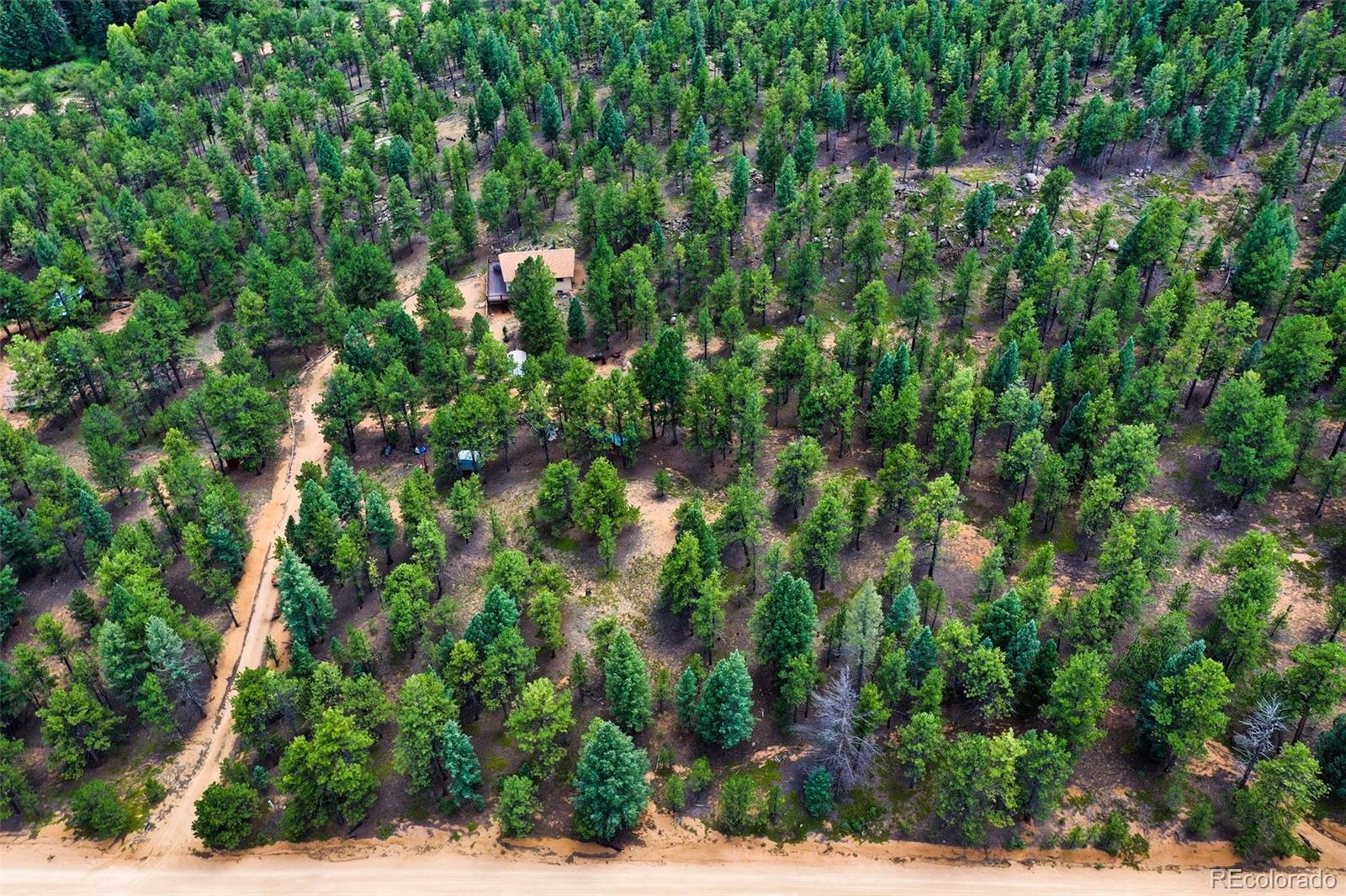 MLS Image #9 for 14651  westcreek road,woodland park, Colorado