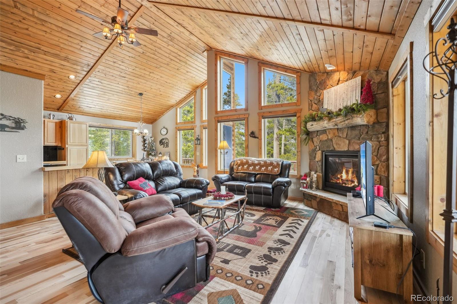 MLS Image #0 for 1074  bobcat lane,fairplay, Colorado