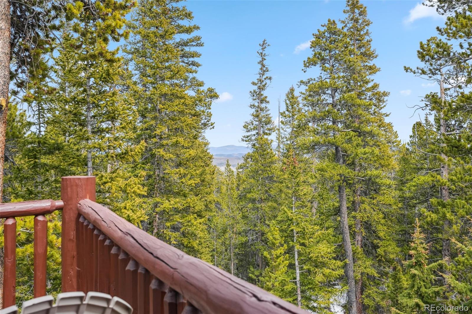 MLS Image #12 for 1074  bobcat lane,fairplay, Colorado