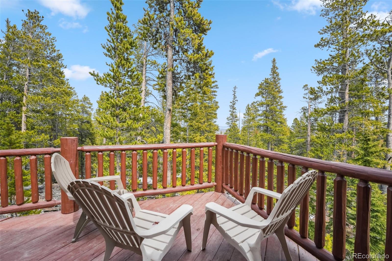 MLS Image #13 for 1074  bobcat lane,fairplay, Colorado
