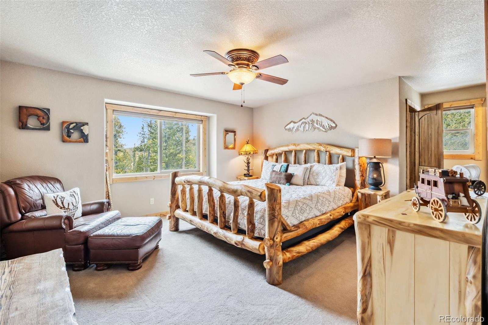 MLS Image #14 for 1074  bobcat lane,fairplay, Colorado