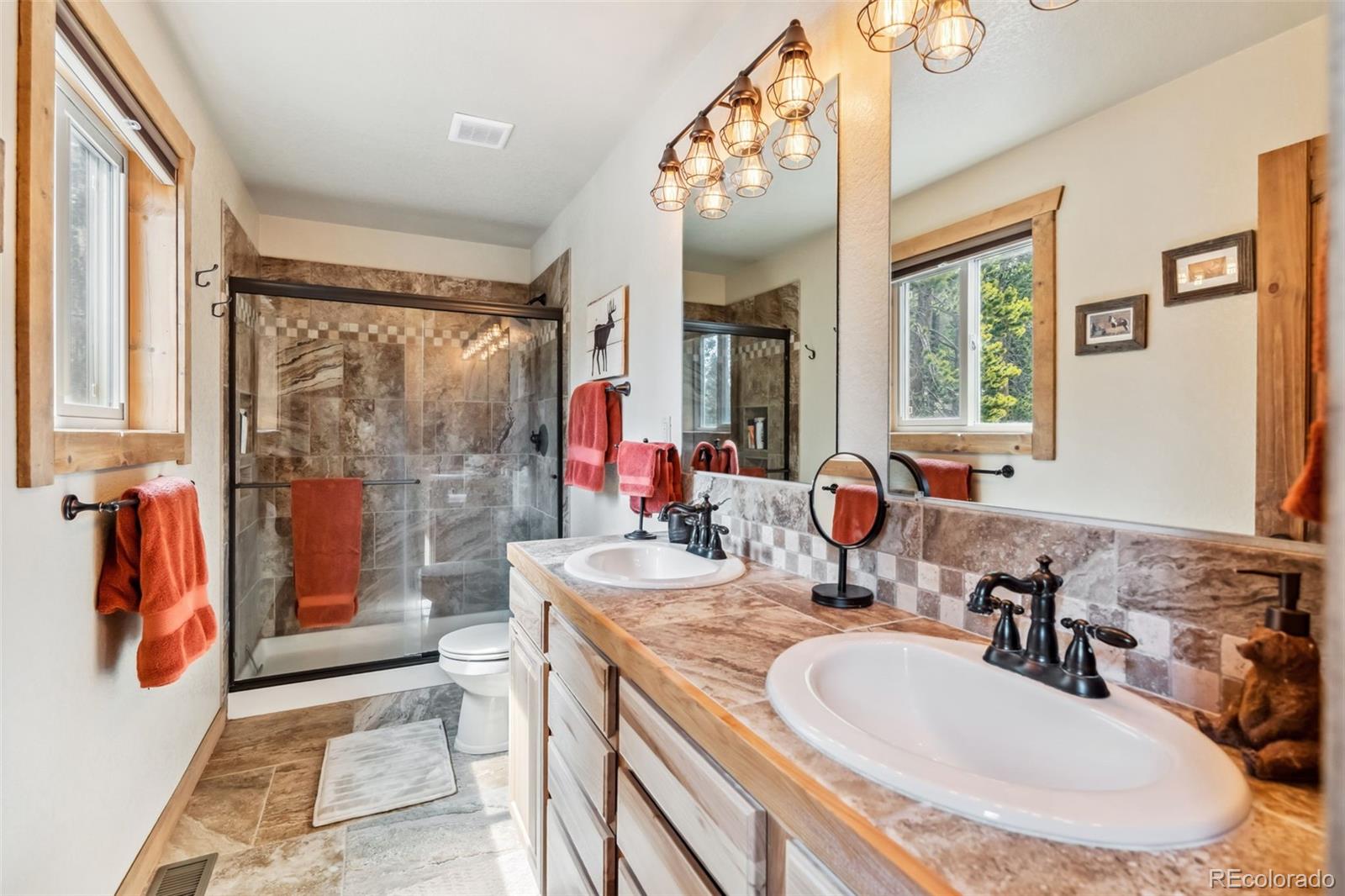 MLS Image #16 for 1074  bobcat lane,fairplay, Colorado