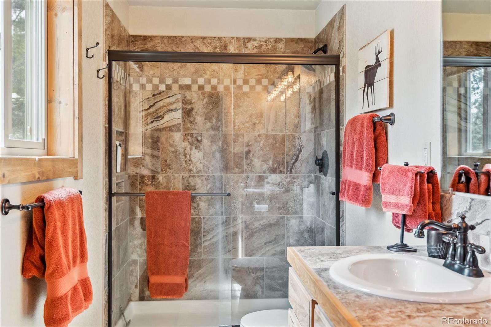 MLS Image #17 for 1074  bobcat lane,fairplay, Colorado