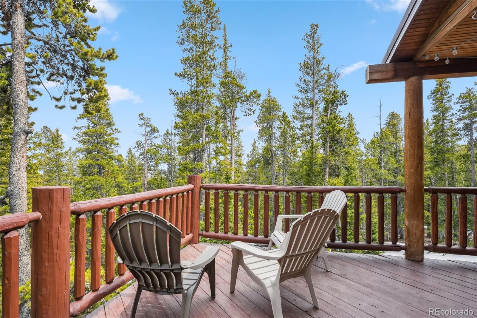 MLS Image #20 for 1074  bobcat lane,fairplay, Colorado