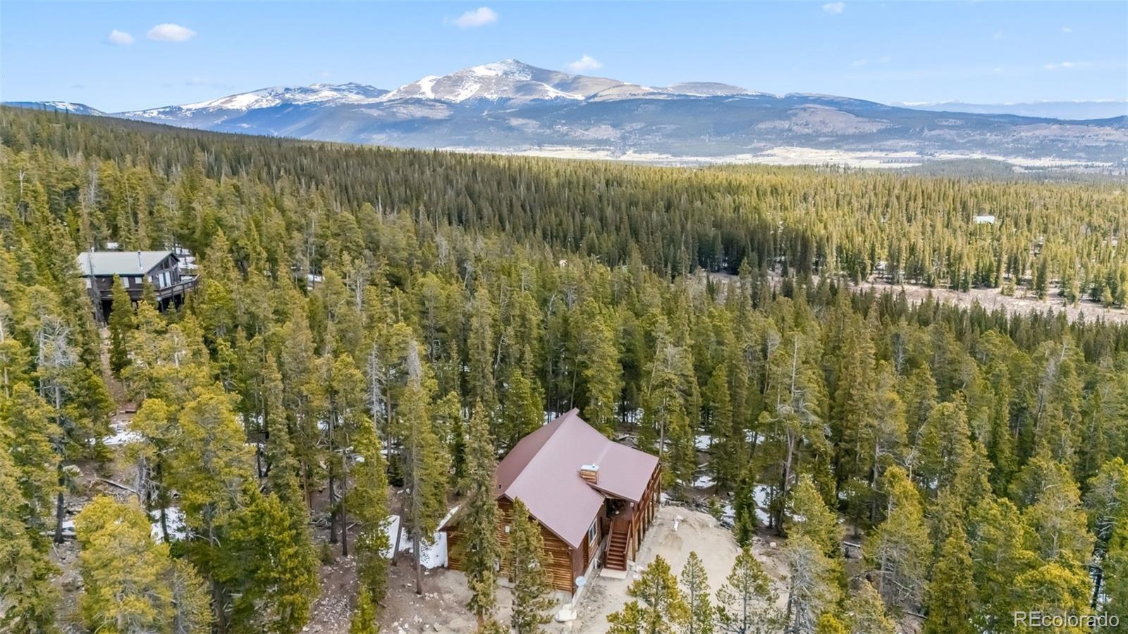 MLS Image #21 for 1074  bobcat lane,fairplay, Colorado