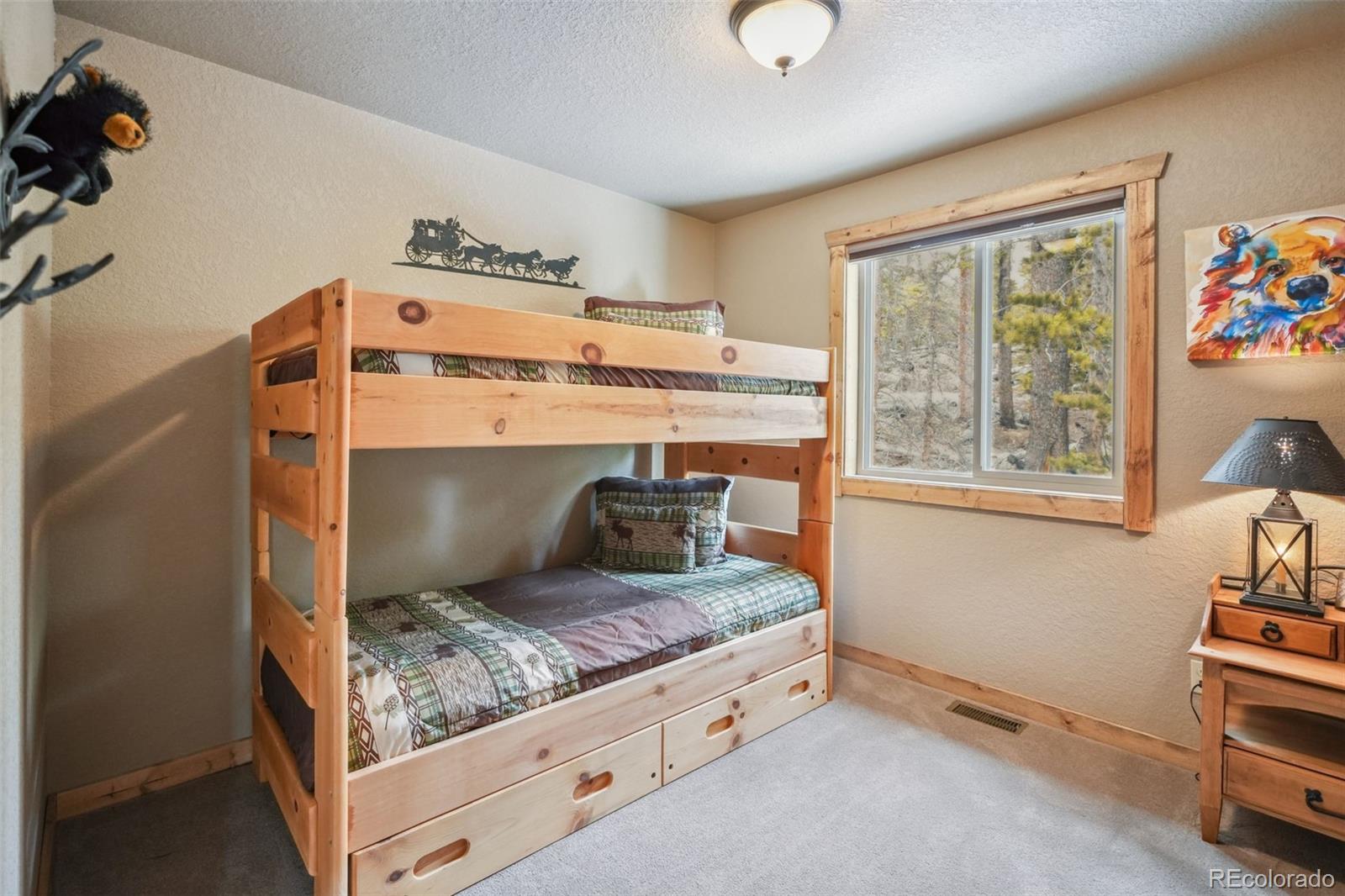 MLS Image #24 for 1074  bobcat lane,fairplay, Colorado