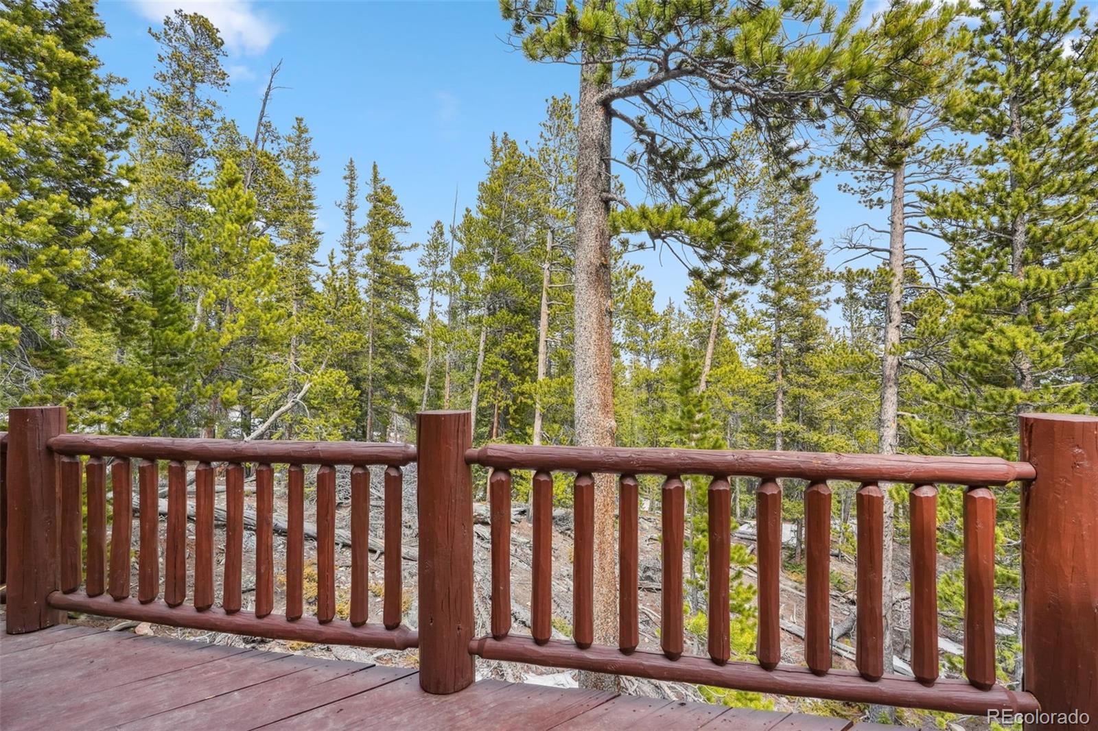 MLS Image #26 for 1074  bobcat lane,fairplay, Colorado
