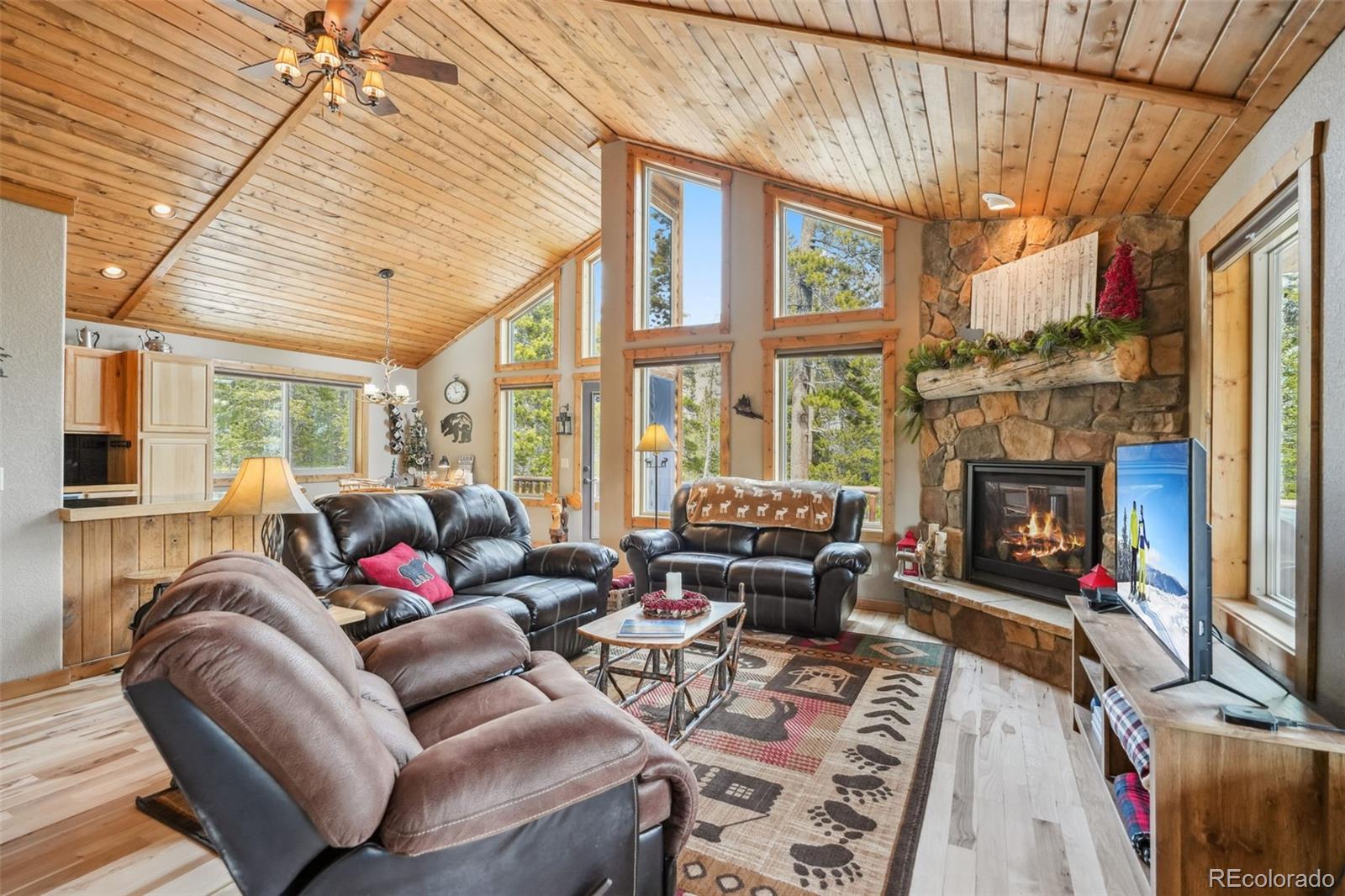 MLS Image #27 for 1074  bobcat lane,fairplay, Colorado