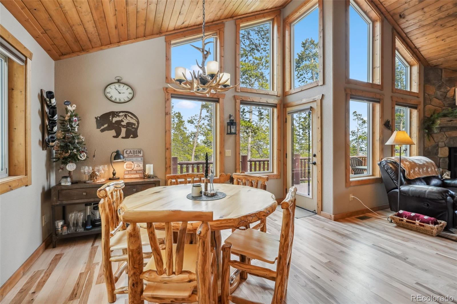 MLS Image #28 for 1074  bobcat lane,fairplay, Colorado