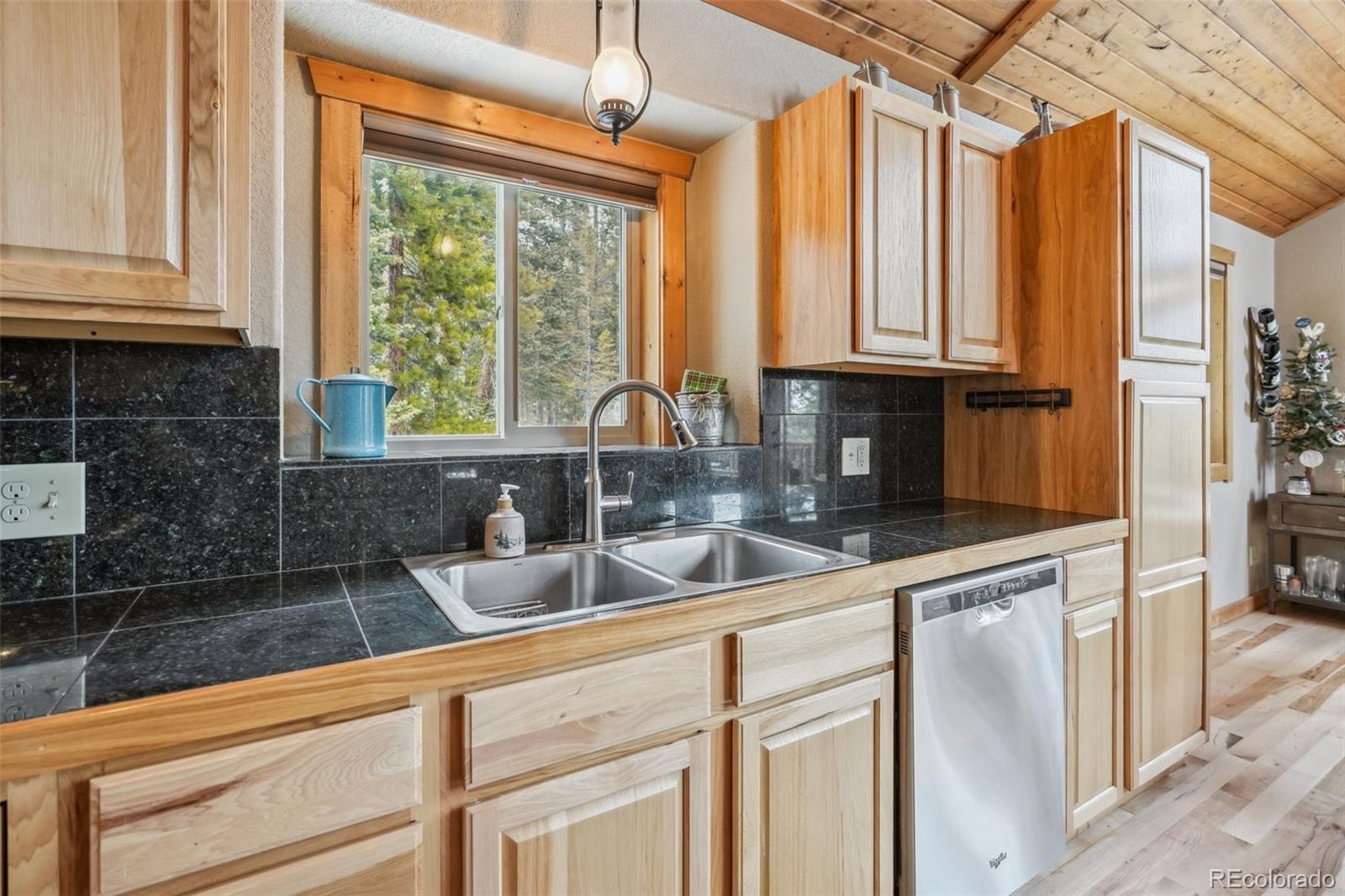 MLS Image #30 for 1074  bobcat lane,fairplay, Colorado