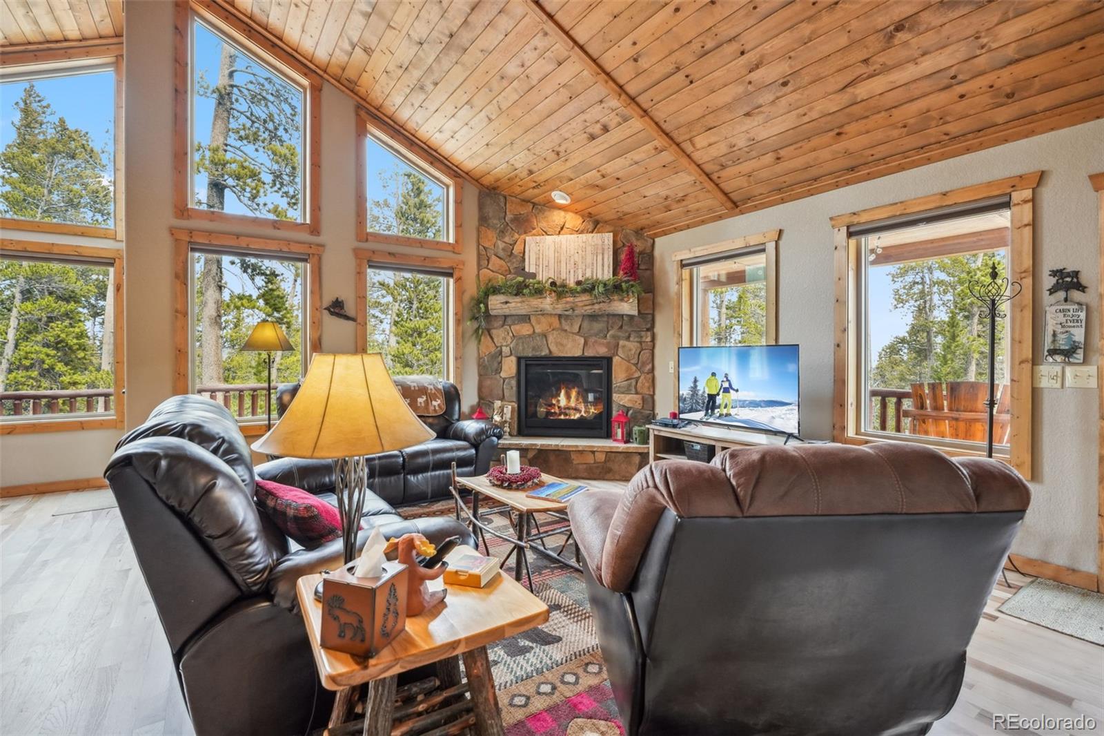 MLS Image #32 for 1074  bobcat lane,fairplay, Colorado