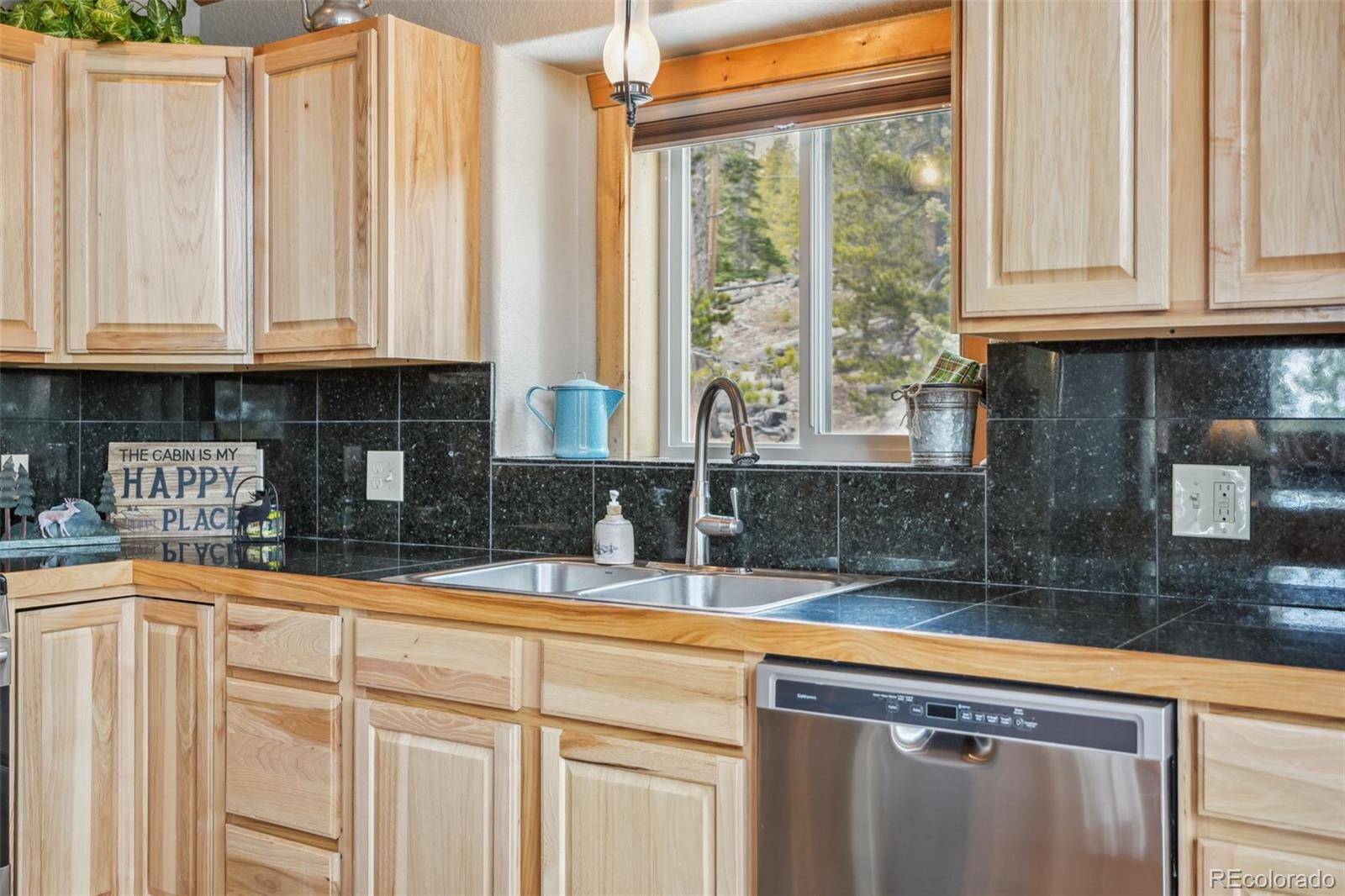 MLS Image #35 for 1074  bobcat lane,fairplay, Colorado